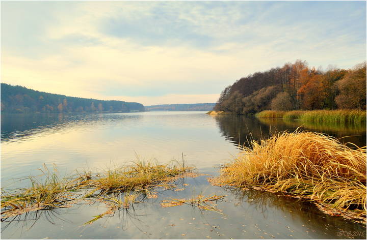 осенняя вода
