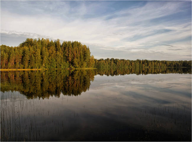 Лесное озеро