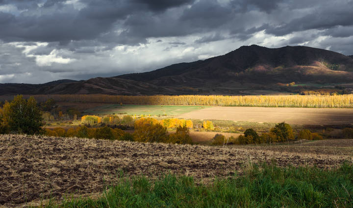 Осенняя