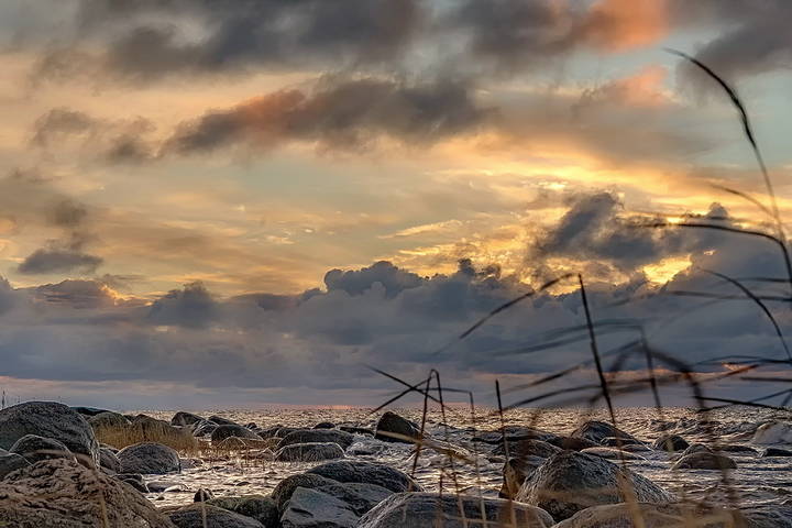 Latvia 2018 Vidzeme seaside 2