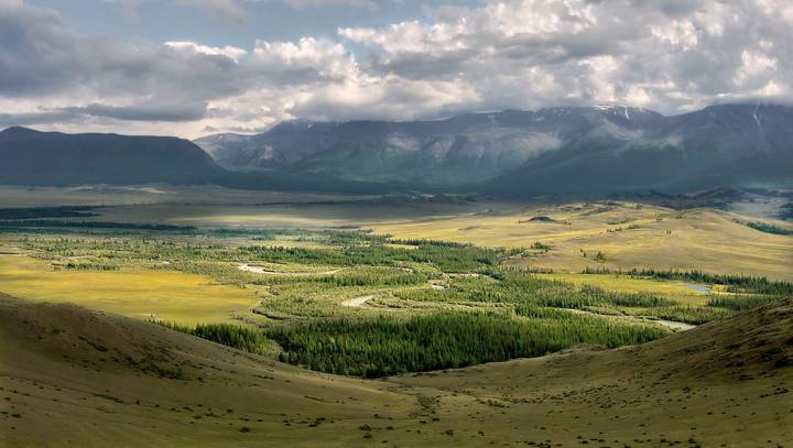 В лучах света.