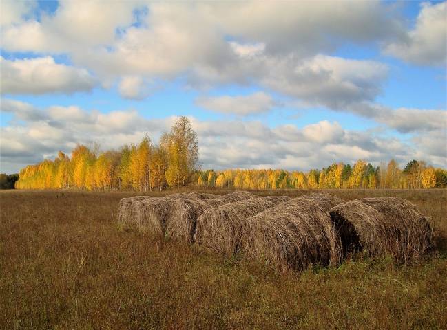 Запасы.