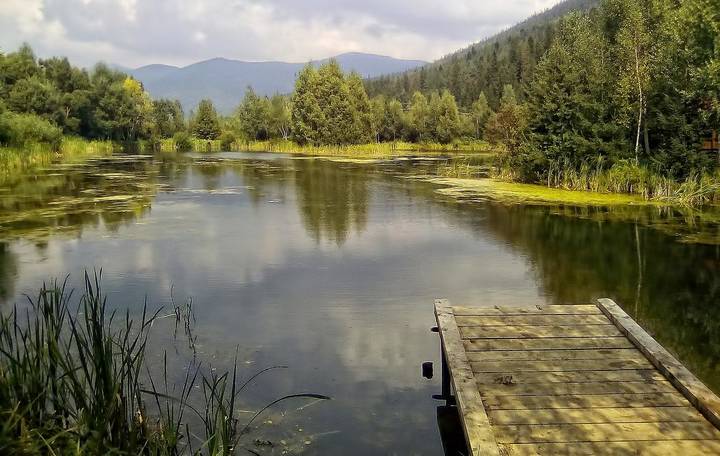 В Карпатах