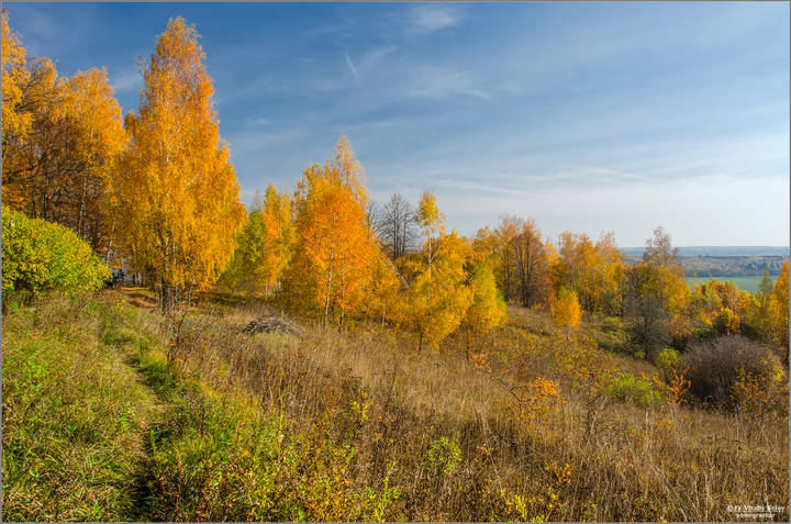 Золотая осень в Шамордино