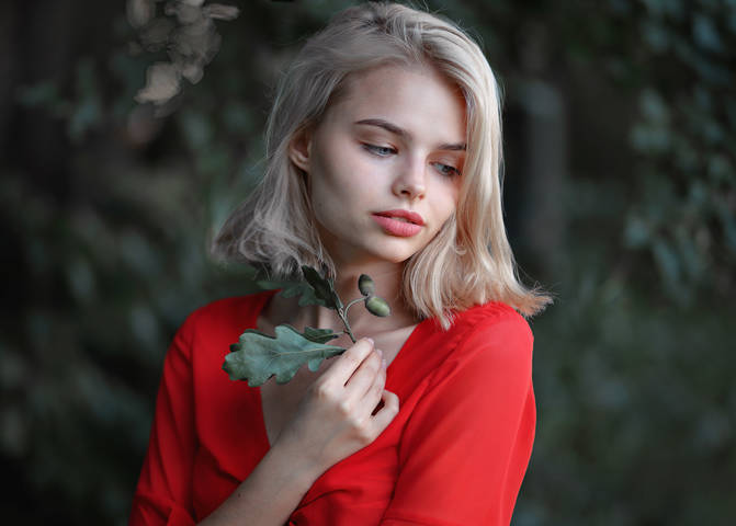 Холодная роза