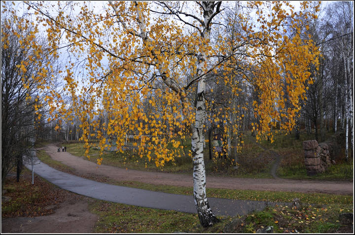 В парке