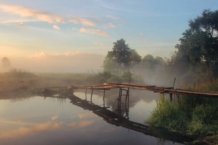 ***