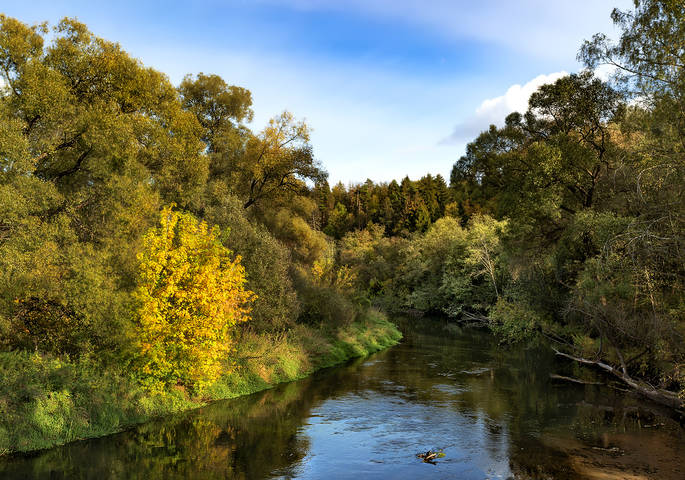 Осенняя река
