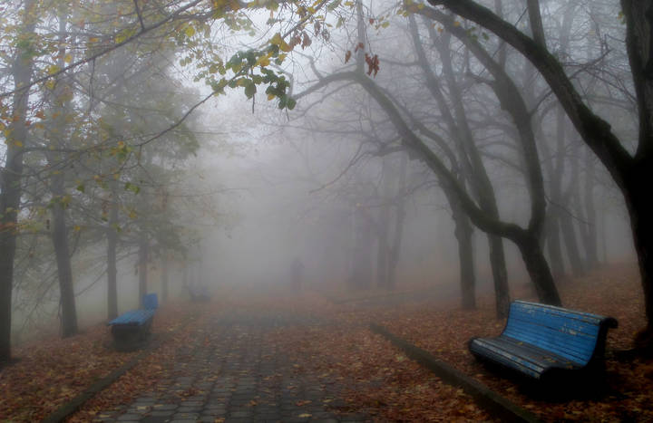 В парке туманном....