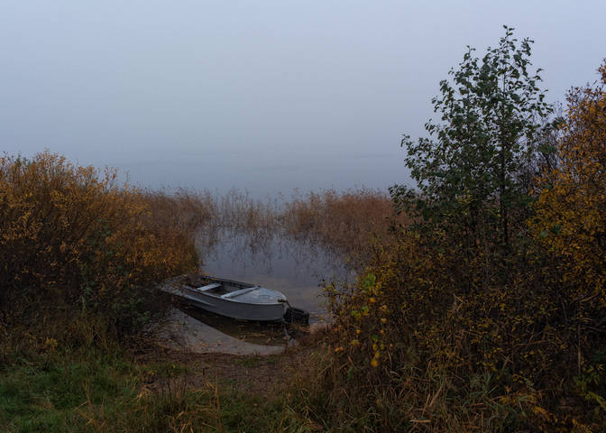 Осенний сон