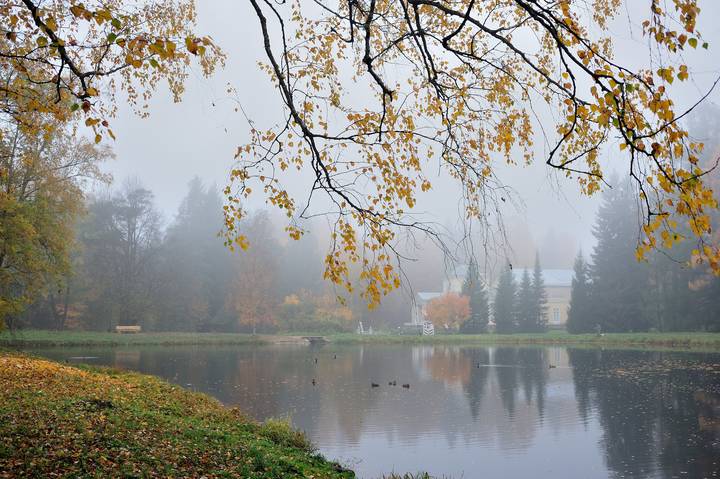 в осеннем парке... 