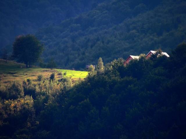 В Карпатах
