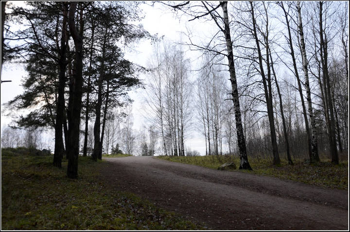 В парке