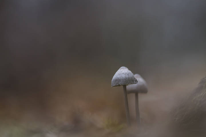 84