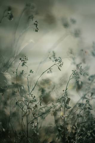 forever autumn