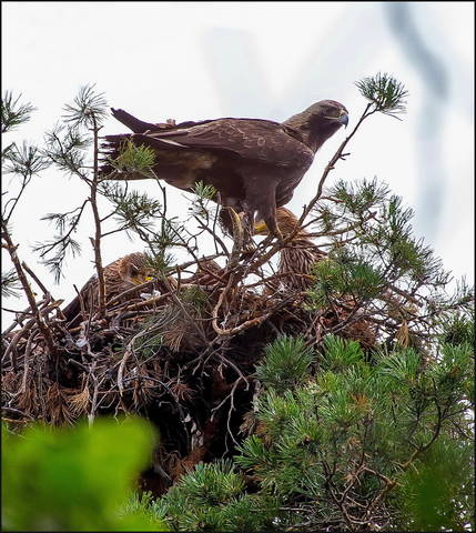 # 3