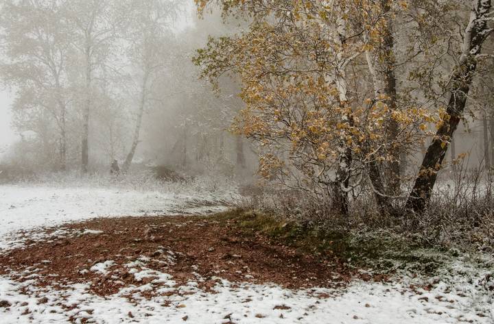 Растопила осень зимний снег..