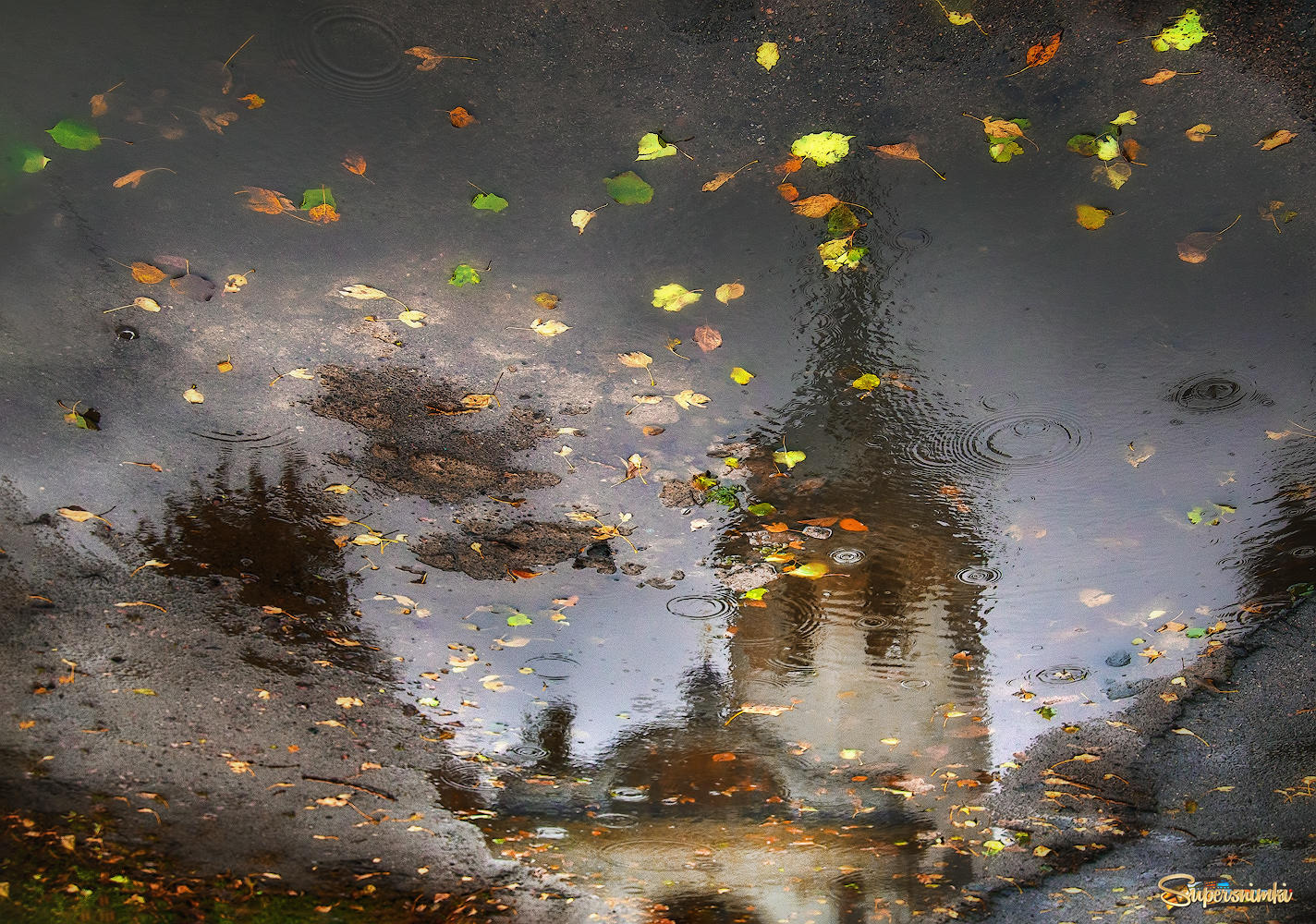 Осень рисует дождями...