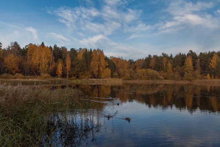 Осень в Бугрово