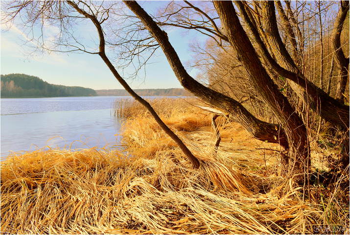 осенний берег*