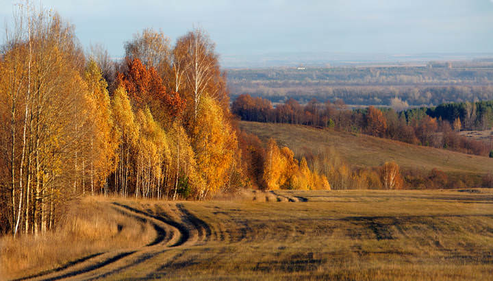 Родные просторы в закатных лучах