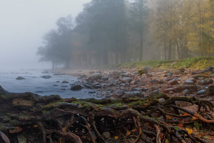Про туман
