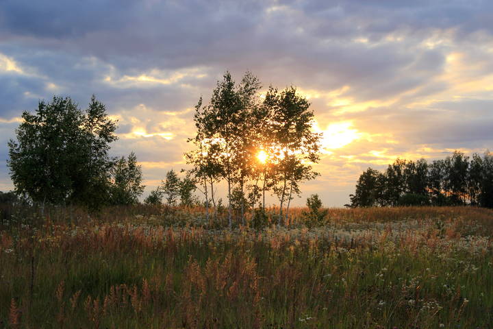 Летний вечер.