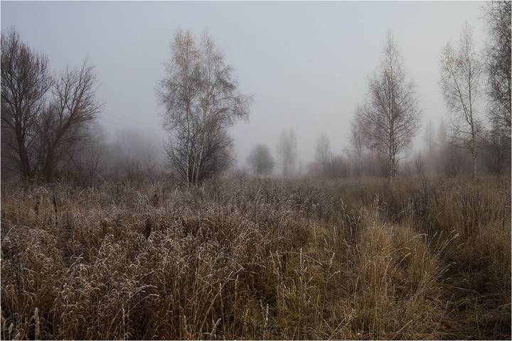 Первые заморозки