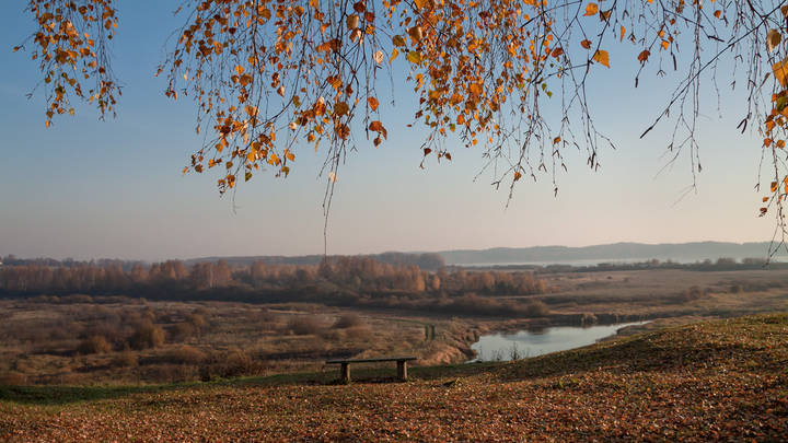 Осень, она не спросит