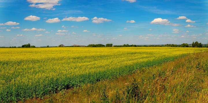 Просторы.