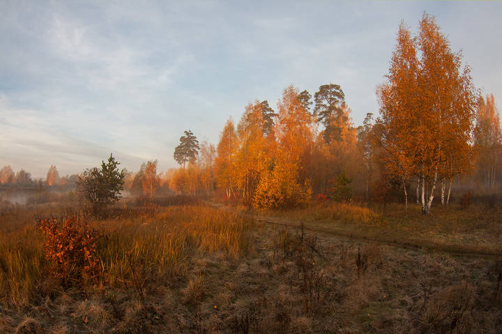 осеннее утро