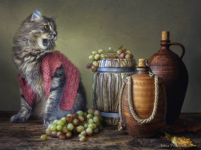 - А мне вина нальете? Попробовать только!