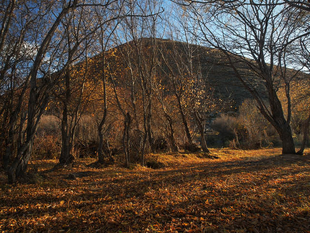 Осенняя зарисовка