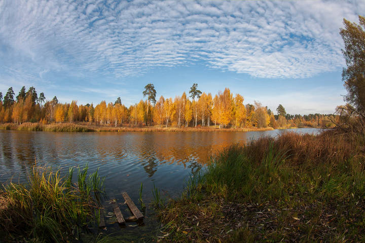осень