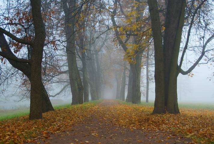 Утро в октябре...