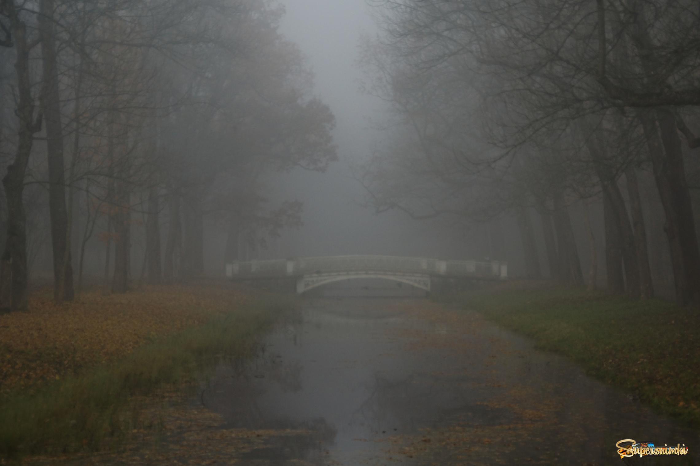 Туман и мостик...