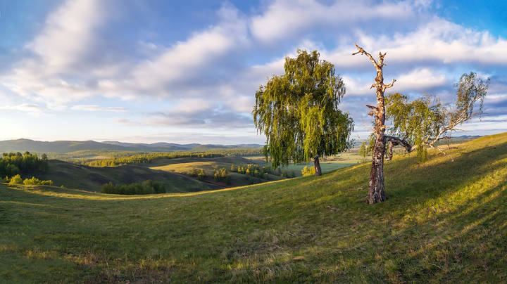 Перспективное утро