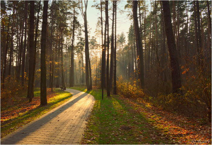 осень в парке