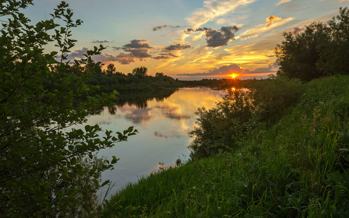 Летний рассвет