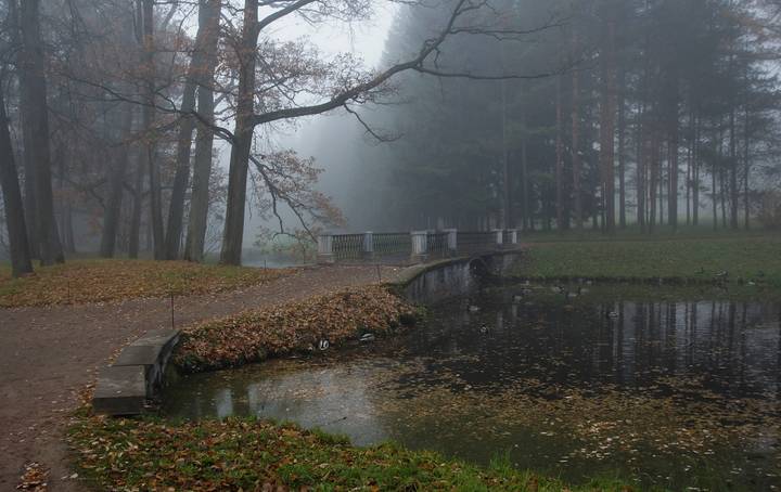 Утро в парке...