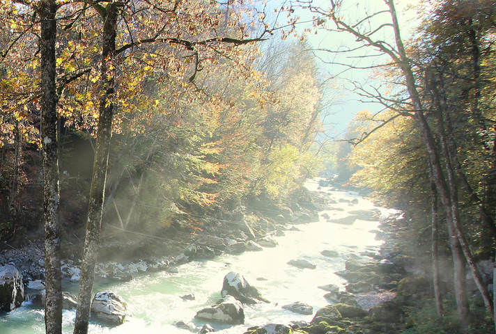 осенняя река