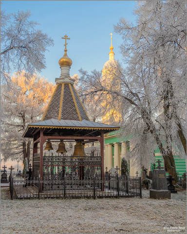 В серебристом инее
