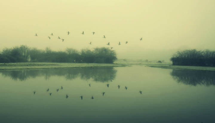 ***