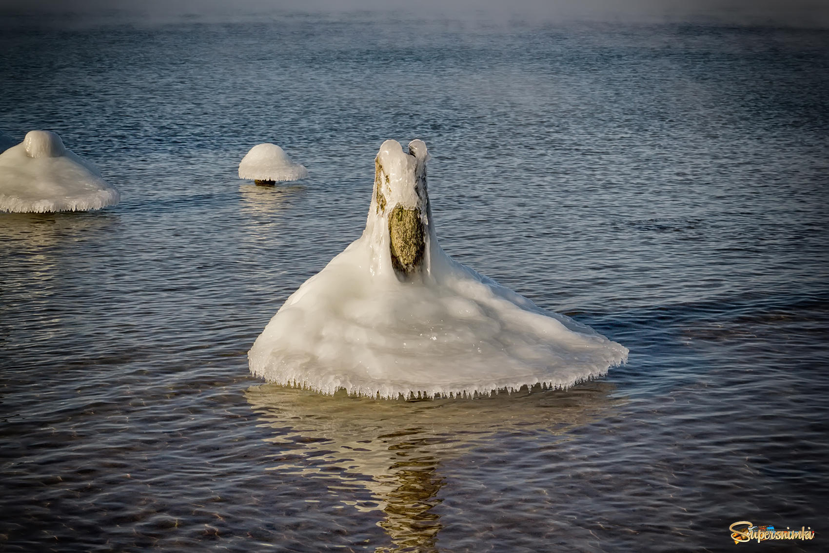 Ледяной Лебедь