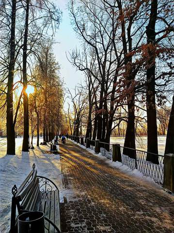 Подмосковье.  01.12.2018