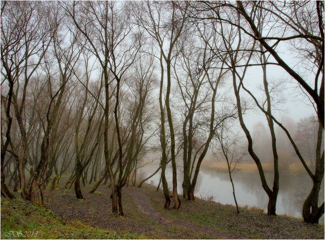 в осеннем тумане