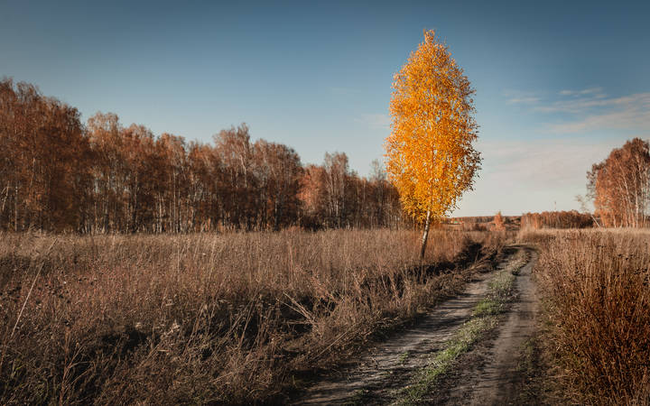 А я вот вся такая...в Дольче-Габана...