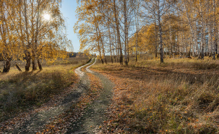 "Золотой" денёк.