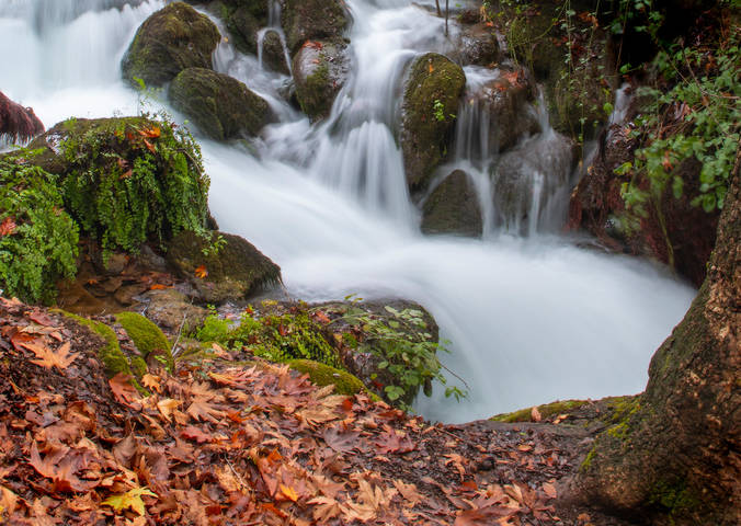 Осенние воды