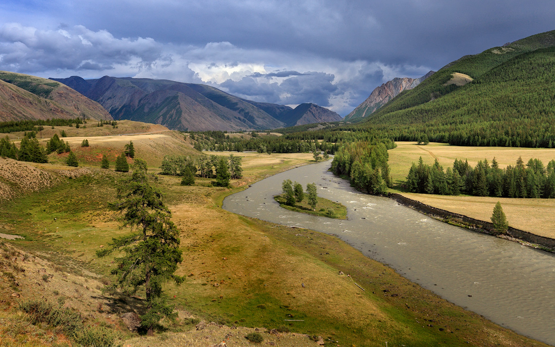 Природная зона равнины алтая. Горный ландшафт Курагино. Ландшафт Алтая. Ландшафт Алтай горы. Лесостепь Республика Алтай.